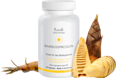 BAMBUSSPROSSEN Kapseln - 60Stk