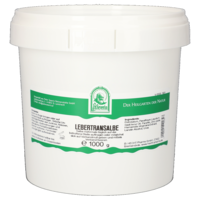 LEBERTRANSALBE - 1000g