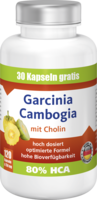 VIAVITAMINE Garcinia Cambogia Kapseln - 120Stk