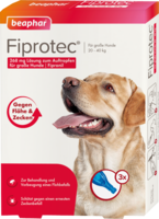 FIPROTEC 268 mg Lösung z.Auftr.f.große Hunde - 3X2.68ml