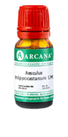 AESCULUS HIPPOCASTANUM LM 90 Dilution - 10ml