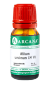 ALLIUM URSINUM LM 6 Dilution - 10ml