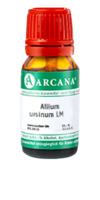 ALLIUM URSINUM LM 29 Dilution - 10ml