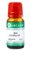 APIS MELLIFICA LM 120 Dilution - 10ml