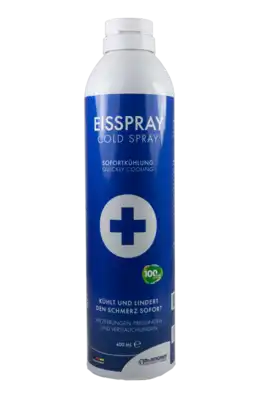 EISSPRAY (400 ml) 
