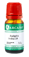 ACALYPHA indica LM 5 Dilution - 10ml
