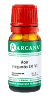 ACER negundo LM 6 Dilution - 10ml
