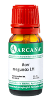ACER negundo LM 10 Dilution - 10ml