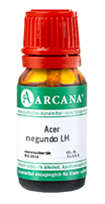 ACER negundo LM 90 Dilution - 10ml