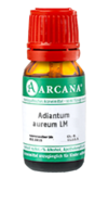 ADIANTUM AUREUM LM 45 Dilution - 10ml