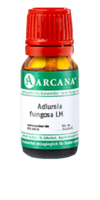 ADLUMIA fungosa LM 11 Dilution - 10ml