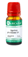 AGARICUS PHALLOIDES LM 60 Dilution - 10ml