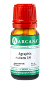 AGRAPHIS NUTANS LM 13 Dilution - 10ml