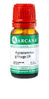 AGROSTEMMA githago LM 2 Dilution - 10ml