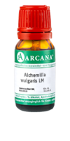 ALCHEMILLA VULGARIS LM 11 Dilution - 10ml