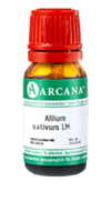 ALLIUM SATIVUM LM 13 Dilution - 10ml