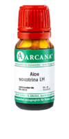 ALOE SOCOTRINA LM 21 Dilution - 10ml