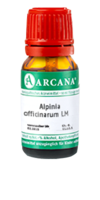 ALPINIA OFFICINARUM LM 13 Dilution - 10ml
