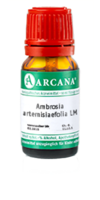 AMBROSIA ARTEMISIAEFOLIA LM 75 Dilution - 10ml