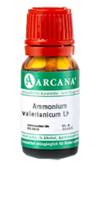 AMMONIUM VALERIANICUM LM 120 Dilution - 10ml