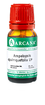 AMPELOPSIS quinquefolia LM 120 Dilution - 10ml