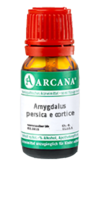 AMYGDALUS persica e cortice LM 7 Dilution - 10ml