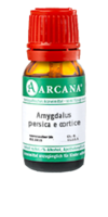 AMYGDALUS persica e cortice LM 12 Dilution - 10ml