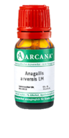 ANAGALLIS ARVENSIS LM 90 Dilution - 10ml