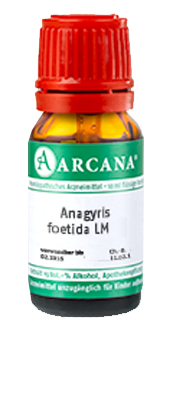 ANAGYRIS foetida LM 17 Dilution - 10ml