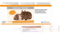 RODICARE Hairball Susp.f.Meerschw./Zwergkaninchen - 3X12ml