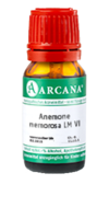 ANEMONE nemorosa LM 6 Dilution - 10ml