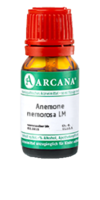 ANEMONE nemorosa LM 11 Dilution - 10ml