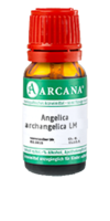 ANGELICA ARCHANGELICA LM 21 Dilution - 10ml