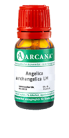 ANGELICA ARCHANGELICA LM 60 Dilution - 10ml
