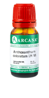 ANTHOXANTHUM odoratum LM 6 Dilution - 10ml