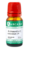 ANTHOXANTHUM odoratum LM 28 Dilution - 10ml