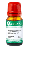 ANTHOXANTHUM odoratum LM 120 Dilution - 10ml