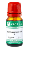 ANTHRACENUM LM 6 Dilution - 10ml