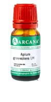 APIUM graveolens LM 4 Dilution - 10ml