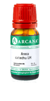 ARECA catechu LM 29 Dilution - 10ml