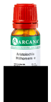 ARISTOLOCHIA MILHOMENS e radice LM 24 Dilution - 10ml