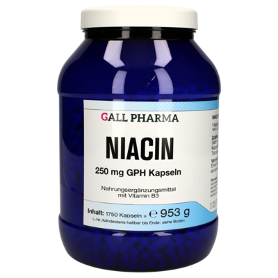 NIACIN 250 mg GPH Kapseln - 1750Stk