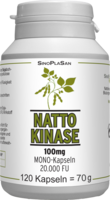 NATTOKINASE 100 mg Mono 20.000 FU Kapseln - 120Stk