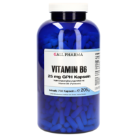 VITAMIN B6 25 mg GPH Kapseln - 750Stk