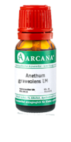 ANETHUM graveolens LM 14 Dilution - 10ml