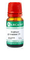 ANETHUM graveolens LM 100 Dilution - 10ml