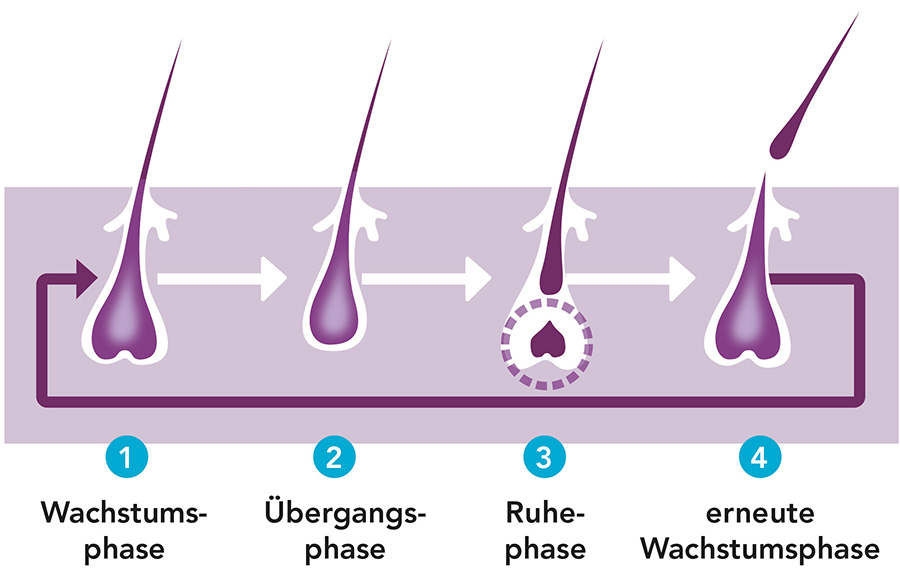 3-REGAINE_Grafik-Haarwachstum_770px.jpg