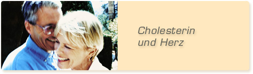 Cholesterin und Herz