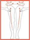 BODY-3.png