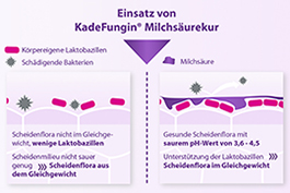 Grafik_Milchsäurekur.jpg